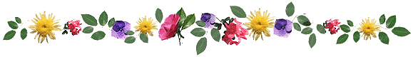 fleurs