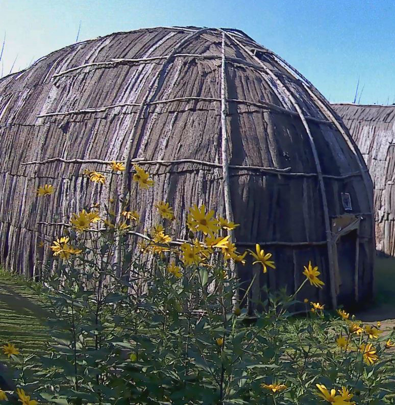habitat