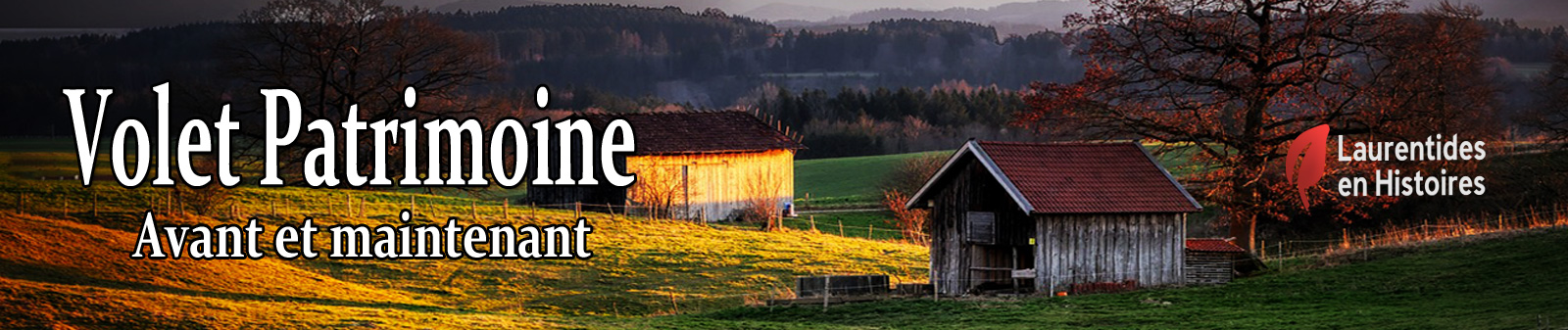 volet patrimoine